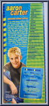 Aaron Carter (Gray Shirt) from Aaron Carter - 12" Scale manufactured by Play Along [Back]