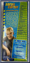 Aaron Carter (Jean Jacket) from Aaron Carter - 12" Scale manufactured by Play Along [Back]