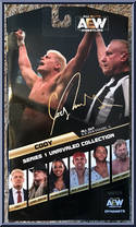 Cody Rhodes (Chase) from AEW - Unrivaled - Series  1 manufactured by Jazwares [Back]