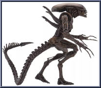 Xenomorph Warrior from Alien Resurrection - Basic Series manufactured by Neca [Loose]