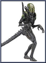 Grid Alien (AvP) Action Figure