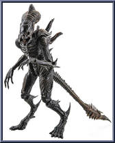 Xenomorph Raven Action Figure
