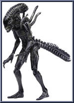 Xenomorph Warrior (AVP 2) Action Figure