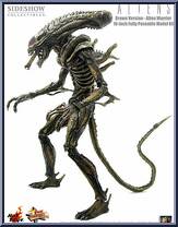 Alien Warrior (Brown) Action Figure