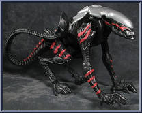 Night Cougar Alien