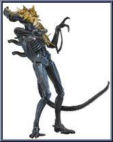 Xenomorph Warrior (Battle Damaged) from Aliens - Series 12 manufactured by Neca [Loose]