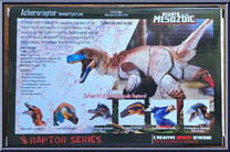 Acheroraptor temertyorum from Beasts of the Mesozoic - Raptor Series manufactured by Creative Beast Studio [Back]