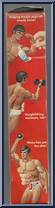 Gold Medal Big Jim from Big Jim - Gold Medal Big Jim manufactured by Mattel [Loose]