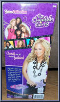 Dorinda from Cheetah Girls - Boxed manufactured by Play Along [Back]