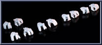 T.U.5.C.C. Hands Pack from Cosmic Legions - Accessories manufactured by Four Horsemen [Loose]