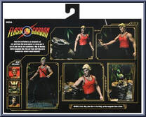 Flash Gordon (Wood Beast Challenge) from Flash Gordon - Basic Series manufactured by Neca [Back]