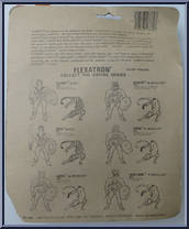 Herr Bone & Devil Cat from Flex-A-Tron - Basic Series manufactured by S&T Sales [Back]