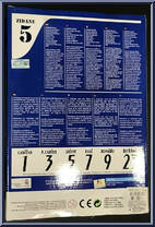 Zinedine Zidane 5 (Real Madrid) from FT Champs - 12" Scale manufactured by FT Champs [Back]