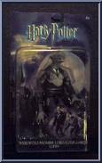 Professor Lupin / Werewolf Action Figure