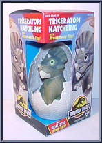 Triceratops Hatchling