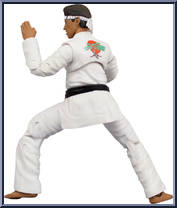 Daniel LaRusso (All Valley Champion) from Karate Kid - Basic Series manufactured by Icon Heroes [Loose]