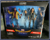 Spider-Man / MJ from Marvel Legends - Infinite Series - Exclusives manufactured by Hasbro [Front]
