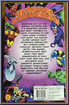 Silver Surfer from Marvel Universe - Marvel Team-Ups manufactured by Toy Biz [Back]