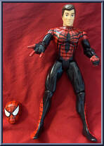 Spider-Man / Peter Parker