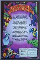 Spider-Man / Peter Parker from Marvel Universe - Heroes Unmasked manufactured by Toy Biz [Back]