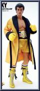 Rocky Balboa (Italian Stallion) (Rocky III)  from Movie Masterpieces - Rocky manufactured by Hot Toys [Loose]