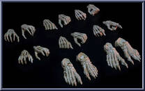 Skeletons Hands & Feet Pack Action Figure