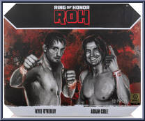 Kyle O'Reilly / Adam Cole from ROH - Basic Series manufactured by Jazwares [Front]