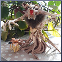 Phage from Spider-Man - Venom - Along Came a Spider manufactured by Toy Biz [Loose]