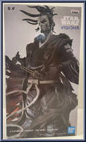 Ronin (The Duel) (Visions) from Star Wars - Star Wars: Visions manufactured by Banpresto [Front]
