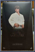 Luke Skywalker Action Figure