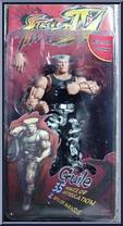 Guile from Street Fighter 4 - Survival Colors manufactured by Neca [Front]