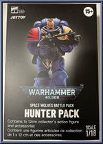 Brother Wulfgar (Hunter Pack) from Warhammer 40,000 - Space Wolves manufactured by JoyToy [Front]