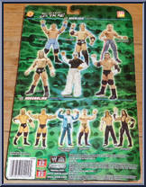 CM Punk from WWE Backlash - Series 15 manufactured by Jakks Pacific [Back]