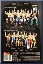 DH Smith from WWE Deluxe Aggression - Series 17 manufactured by Jakks Pacific [Back]