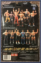 Shawn Michaels from WWE Deluxe Aggression - Series  3 manufactured by Jakks Pacific [Back]