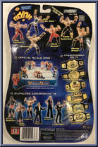 Rob Van Dam from WWE Flex 'Ems - Series  9 manufactured by Jakks Pacific [Back]