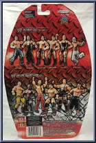 Matt Hardy from WWE Pay Per View - Series 12 - No Way Out manufactured by Jakks Pacific [Back]