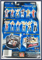 Triple H from WWE Ruthless Aggression - Series 12.5 manufactured by Jakks Pacific [Back]