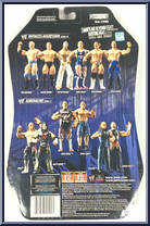 Randy Orton from WWE Ruthless Aggression - Series 19 manufactured by Jakks Pacific [Back]
