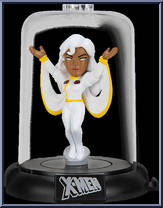 Storm Action Figure