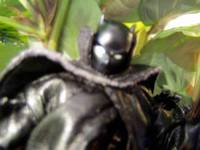 Black Panther (Neo-Genisis) Custom Action Figure