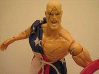 Captain America Earth-X (Marvel Famous Covers) Custom Action Figure