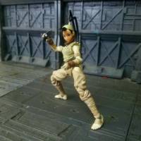 Ibuki (Street Fighter) Custom Action Figure