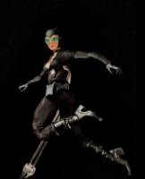 Catwoman (Batman) Custom Action Figure