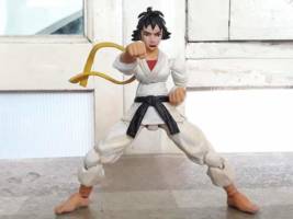 makoto (Street Fighter) Custom Action Figure