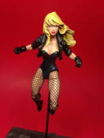 Black Canary (DC Universe) Custom Action Figure