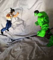 Wolverine (Marvel Legends) Custom Action Figure