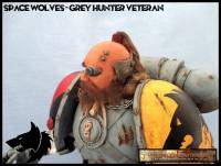Space Wolves (Warhammer) Custom Diorama / Playset