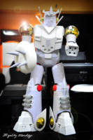 Mekanda (Mekanda Robot) Custom Other
