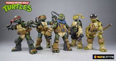 Teenage Mutant Ninja Turtles (Teenage Mutant Ninja Turtles) Custom Action Figure